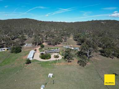 Farm For Sale - NSW - Bungendore - 2621 - The Good Life  (Image 2)