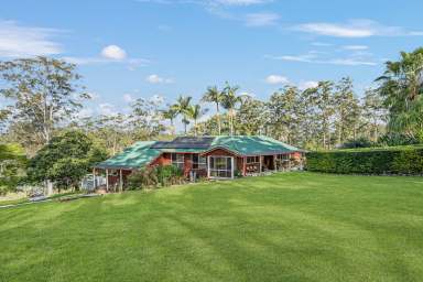 Farm For Sale - NSW - Telegraph Point - 2441 - RIVERSIDE LUXURY: 3.79-ACRE SANCTUARY AWAITS IN TELEGRAPH POINT!  (Image 2)