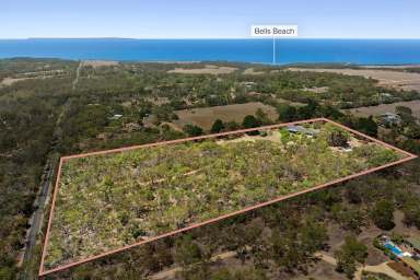 Farm For Sale - VIC - Bells Beach - 3228 - A Natural Bush & Beach Haven  (Image 2)