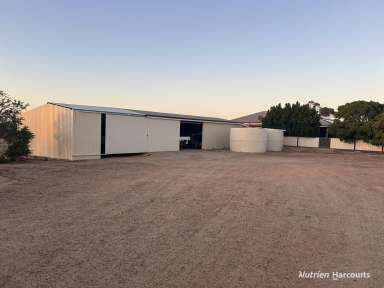 Farm For Sale - WA - Merredin - 6415 - "GOLDFIELDS FARM"  (Image 2)