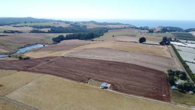 Farm For Sale - TAS - Sulphur Creek - 7316 - Prime Agricultural Land on the Coast  (Image 2)