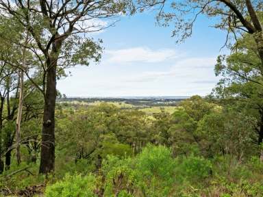 Farm For Sale - VIC - Nicholson - 3882 - QUALITY FAMILY HOME OFFERING MAGNIFICENT VIEWS  (Image 2)