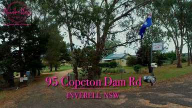 Farm For Sale - NSW - Inverell - 2360 - Lifestyle living at its best!!  (Image 2)