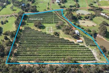 Farm For Sale - WA - Yallingup - 6282 - A Rare Gem in the Margaret River Wine Region  (Image 2)