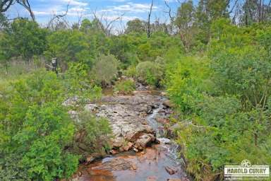 Farm For Sale - NSW - Tenterfield - 2372 - 2.25ha with Creek.....  (Image 2)