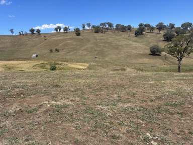 Farm For Sale - VIC - Bethanga - 3691 - Prime Position Lifestyle Block With Magnificent Valley Views Down To Lake Hume  (Image 2)