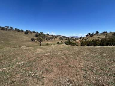 Farm For Sale - VIC - Bethanga - 3691 - Prime Position Lifestyle Block With Magnificent Valley Views Down To Lake Hume  (Image 2)