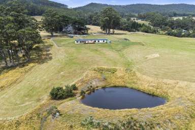 Farm For Sale - TAS - Nubeena - 7184 - 50-Acre Lifestyle property with panoramic views  (Image 2)