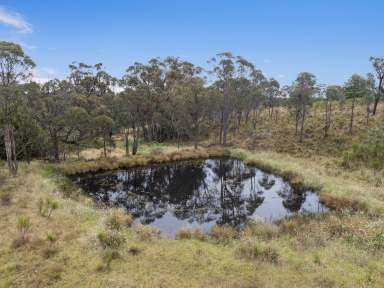 Farm Auction - NSW - Bywong - 2621 - Private & Peaceful Acreage with Building Entitlement  (Image 2)