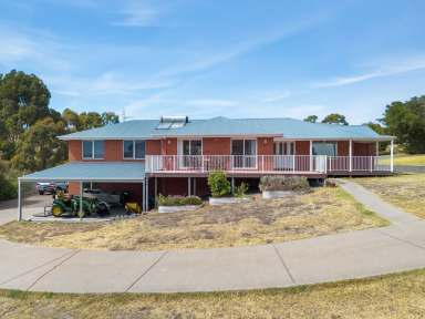 Farm For Sale - TAS - Acton Park - 7170 - Family Living With All The Comforts  (Image 2)