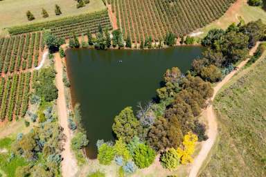 Farm For Sale - NSW - Nashdale - 2800 - Superbly located on the edge of the Towac Valley - Amazing views and an overall exceptional opportunity  (Image 2)