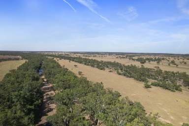 Farm Auction - QLD - Mitchell - 4465 - Versatile Grazing with River Frontage  (Image 2)