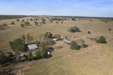 Farm Auction - QLD - Mitchell - 4465 - Versatile Grazing with River Frontage  (Image 2)