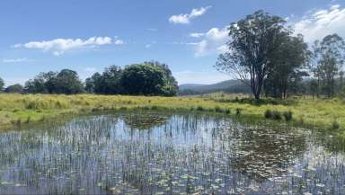 Farm For Sale - NSW - Nymboida - 2460 - Burragum 2  (Image 2)