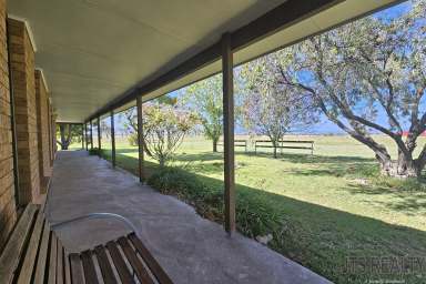 Farm For Sale - NSW - Denman - 2328 - 78 Acre on the Edge of Town  (Image 2)