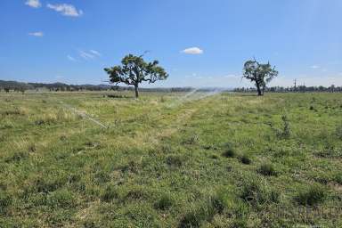 Farm For Sale - NSW - Denman - 2328 - 78 Acre on the Edge of Town  (Image 2)