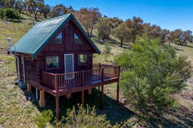 Farm For Sale - NSW - Mummel - 2580 - "Acreage, lifestyle retreat in the heart of Pomeroy"  (Image 2)