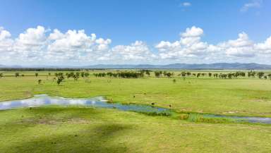 Farm Auction - QLD - Midgee - 4702 - Family Succession Creates a Rare Opportunity!  (Image 2)