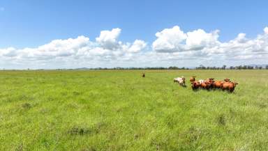 Farm Auction - QLD - Midgee - 4702 - Family Succession Creates a Rare Opportunity!  (Image 2)