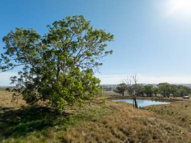 Farm For Sale - NSW - Euchareena - 2866 - A Rural Lifestyle Block  (Image 2)