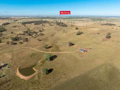 Farm For Sale - NSW - Euchareena - 2866 - A Rural Lifestyle Block  (Image 2)