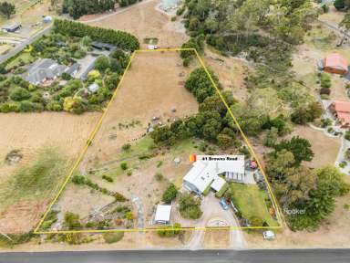 Farm For Sale - TAS - Port Sorell - 7307 - Tassie Lifestyle Property  (Image 2)