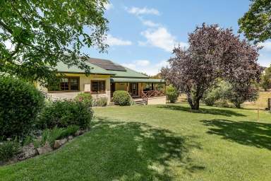 Farm For Sale - NSW - Mudgee - 2850 - Mudgee - Rural Land with 2 homes, sheds. and yards.  (Image 2)