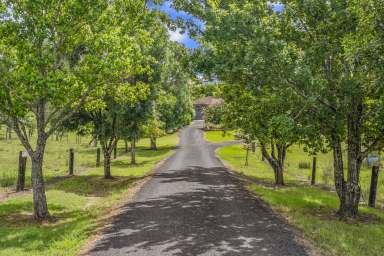 Farm For Sale - NSW - Glendon Brook - 2330 - "Spring Rose" 16.21Ha (40 acres) ...Rural Lifestyle Opportunity!  (Image 2)