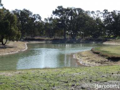 Farm Auction - VIC - Dimboola - 3414 - Productive mixed farming land.  (Image 2)