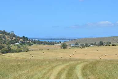 Farm For Sale - TAS - Wattle Hill - 7172 - "Noble Farm" - Rich black and red basalt soils in a spectacular setting  (Image 2)