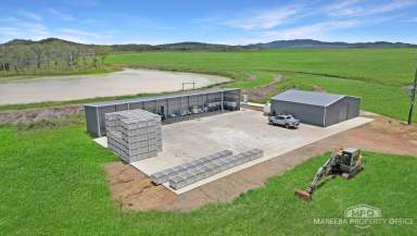 Farm For Sale - QLD - Dimbulah - 4872 - LARGE SCALE FARMING VENTURE  (Image 2)