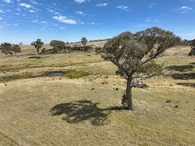 Farm For Sale - NSW - Oberon - 2787 - The Quiet Life - A Rare 37 - Acre Opportunity  (Image 2)