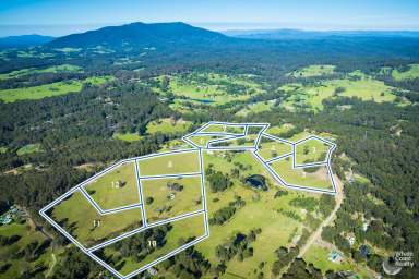 Farm For Sale - NSW - Narooma - 2546 - WONGA PARK ESTATE - NEW LAND RELEASE  (Image 2)