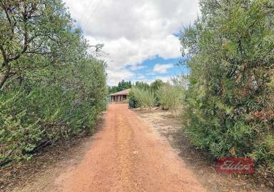 Farm For Sale - WA - Dumberning - 6312 - LOOKING FOR A TREE CHANGE OR LIFESTYLE PROPERTY?  (Image 2)