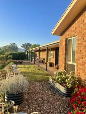 Farm For Sale - NSW - Tumut - 2720 - Private Family Oasis  (Image 2)