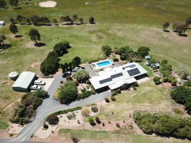 Farm For Sale - NSW - Tumut - 2720 - Private Family Oasis  (Image 2)