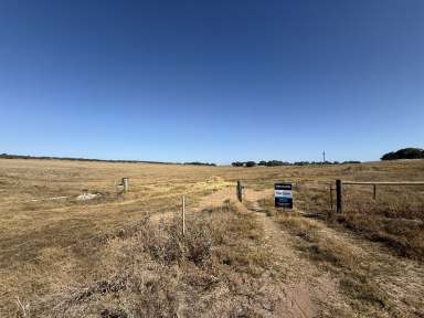 Farm For Sale - WA - Bonniefield - 6525 - Lifestyle Block  (Image 2)