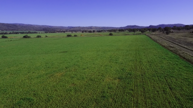 Farm Auction - NSW - Upper Manilla - 2346 - Production Potential Plus  (Image 2)