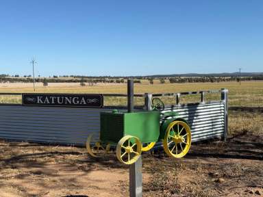 Farm For Sale - NSW - Trungley Hall - 2666 - Turnkey Farming Operation Ready To Roll In 2025  (Image 2)