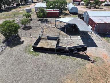 Farm For Sale - NSW - Trungley Hall - 2666 - Turnkey Farming Operation Ready To Roll In 2025  (Image 2)