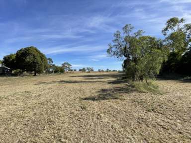 Farm For Sale - NSW - Wee Waa - 2388 - Five acre vacant block in town  (Image 2)