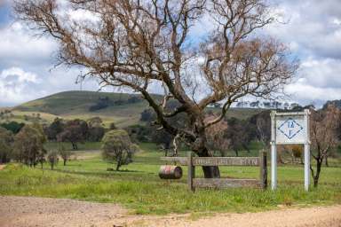 Farm For Sale - NSW - Wongwibinda - 2350 - DOUGHBOY MOUNTAIN  (Image 2)