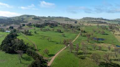 Farm For Sale - NSW - Wongwibinda - 2350 - DOUGHBOY MOUNTAIN  (Image 2)