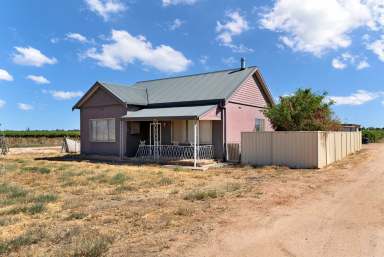 Farm For Sale - VIC - Merbein - 3505 - So Much Space.  (Image 2)