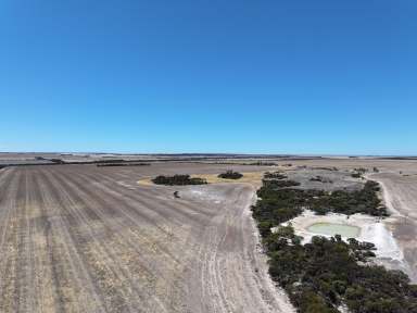 Farm For Sale - WA - Woolocutty - 6369 - 'The Humps'  (Image 2)