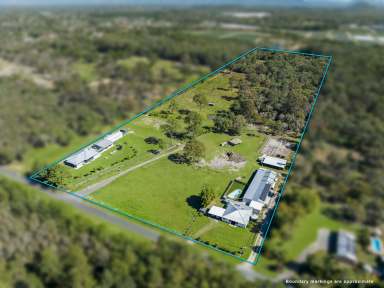 Farm For Sale - QLD - Elimbah - 4516 - 25 acre Estate with Multiple Investment Dwellings - A Rare Find in Elimbah  (Image 2)