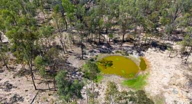 Farm For Sale - QLD - Durong - 4610 - 282 Acres ! Say no more!  (Image 2)