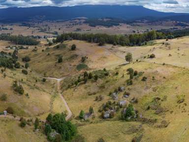 Farm For Sale - TAS - Mole Creek - 7304 - Stunning Land with Farmhouse  (Image 2)