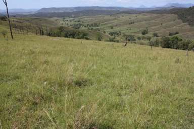 Farm Auction - QLD - Kooralbyn - 4285 - Developed Kooralbyn Valley Grazing  (Image 2)