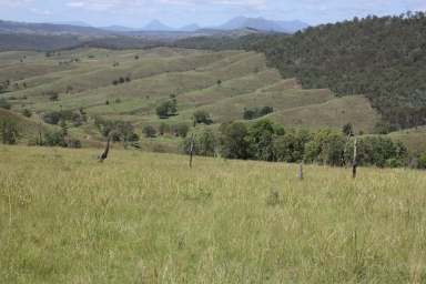 Farm Auction - QLD - Kooralbyn - 4285 - Developed Kooralbyn Valley Grazing  (Image 2)